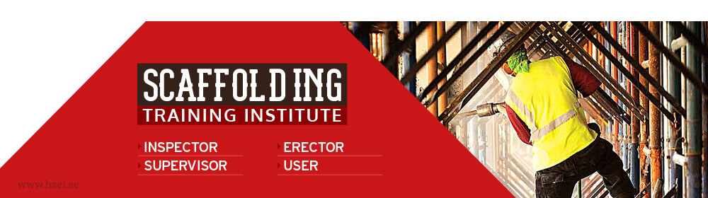 Scaffolding Training Institute
