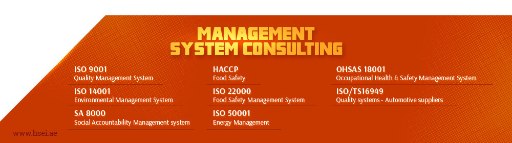 Management System Consulting