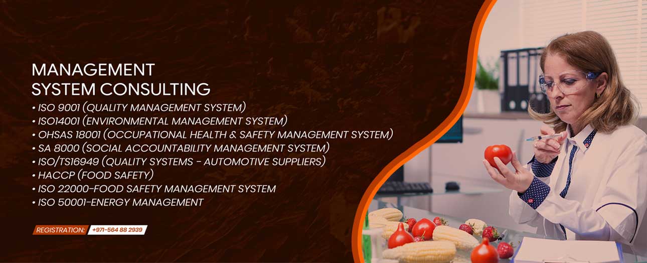 Management System Consulting ISO 9001, ISO 140001, OHSAS 180001, SA 8000, HACCP, ISO 22000, ISO 150001
