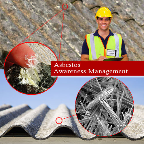 Asbestos Awareness and Management Program